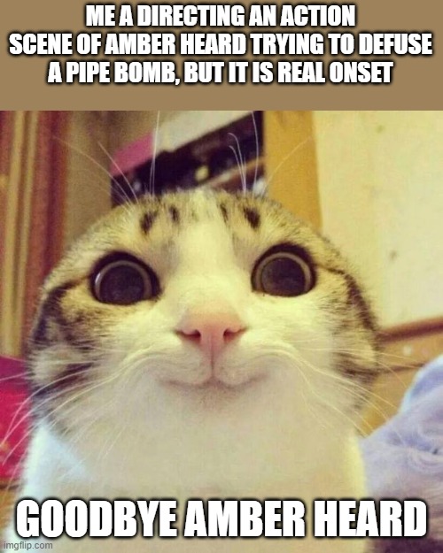 pipe bomb | ME A DIRECTING AN ACTION SCENE OF AMBER HEARD TRYING TO DEFUSE A PIPE BOMB, BUT IT IS REAL ONSET; GOODBYE AMBER HEARD | image tagged in memes,smiling cat | made w/ Imgflip meme maker