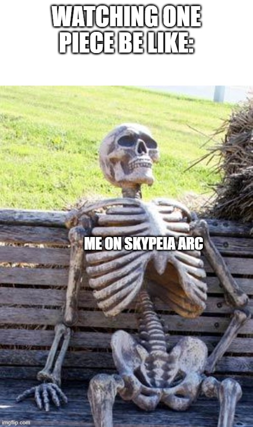 WHEN CAN I MEET FRANKY?????? | WATCHING ONE PIECE BE LIKE:; ME ON SKYPEIA ARC | image tagged in memes,waiting skeleton | made w/ Imgflip meme maker