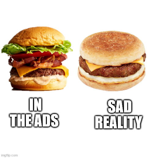 saddd burger | SAD REALITY; IN THE ADS | image tagged in burger,sad,reality,random | made w/ Imgflip meme maker
