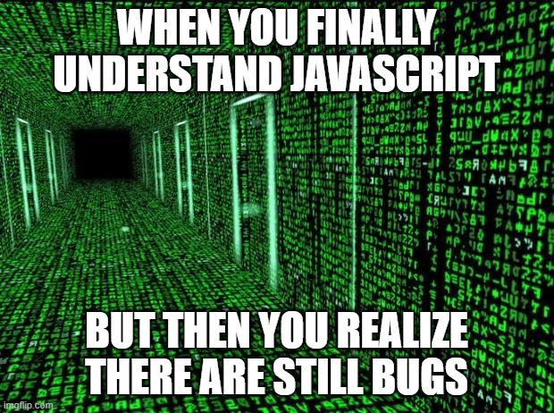Matrix hallway code | WHEN YOU FINALLY UNDERSTAND JAVASCRIPT; BUT THEN YOU REALIZE THERE ARE STILL BUGS | image tagged in matrix hallway code | made w/ Imgflip meme maker