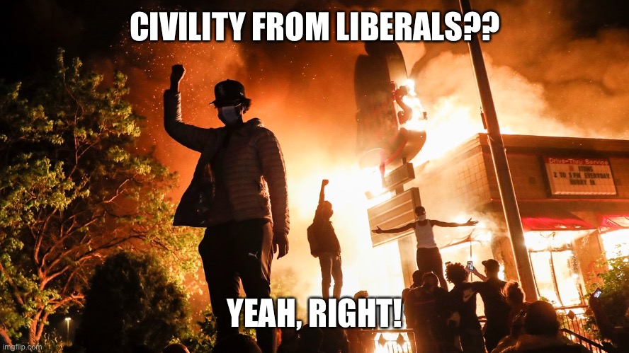 BLM Riots | CIVILITY FROM LIBERALS?? YEAH, RIGHT! | image tagged in blm riots | made w/ Imgflip meme maker