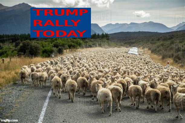 Trump Rally | image tagged in donald trump,maga,rally,sheeple,cultofcorbyn,rubes | made w/ Imgflip meme maker