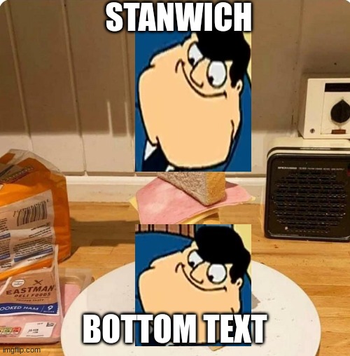 Standwich | STANWICH BOTTOM TEXT | image tagged in standwich | made w/ Imgflip meme maker