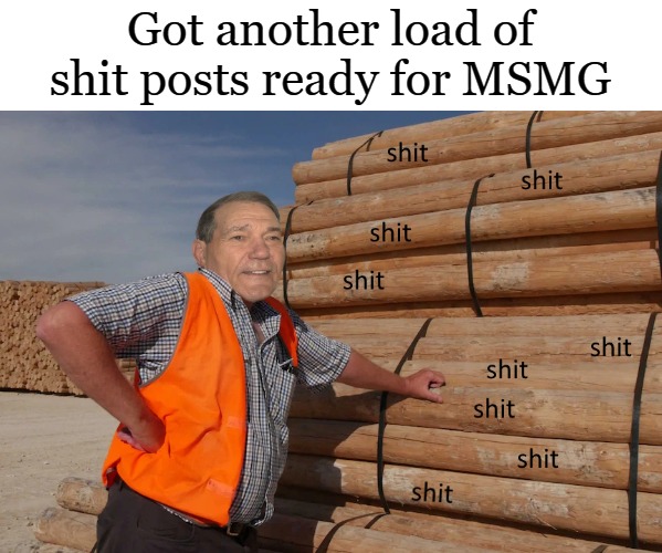 a load of shit posts | Got another load of shit posts ready for MSMG | image tagged in shit posts,kewlew | made w/ Imgflip meme maker