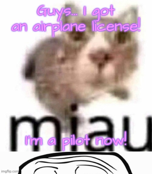 Guys... I got an airplane license! I'm a pilot now! | image tagged in miau | made w/ Imgflip meme maker