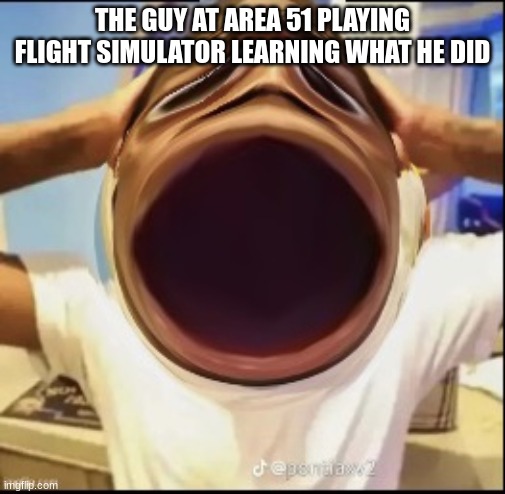 Really shocked black guy | THE GUY AT AREA 51 PLAYING FLIGHT SIMULATOR LEARNING WHAT HE DID | image tagged in really shocked black guy | made w/ Imgflip meme maker