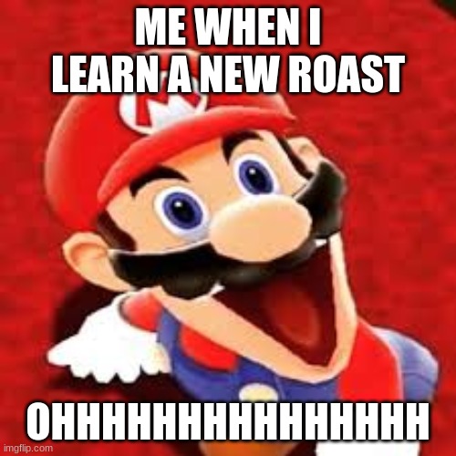 Mario learns something | ME WHEN I LEARN A NEW ROAST; OHHHHHHHHHHHHHHH | image tagged in mario learns something | made w/ Imgflip meme maker