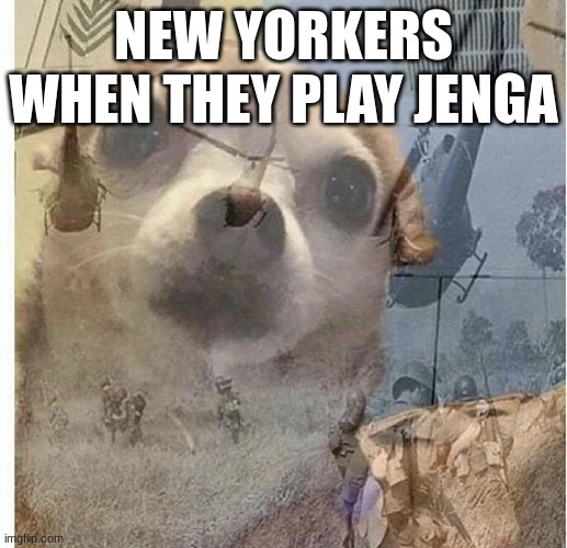 PTSD Chihuahua | NEW YORKERS WHEN THEY PLAY JENGA | image tagged in ptsd chihuahua | made w/ Imgflip meme maker