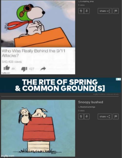 ignore the ad | made w/ Imgflip meme maker