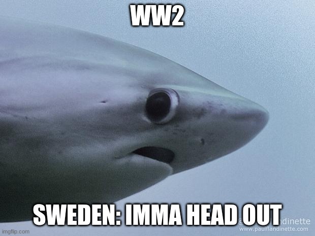 Awkward Shark | WW2; SWEDEN: IMMA HEAD OUT | image tagged in awkward shark | made w/ Imgflip meme maker