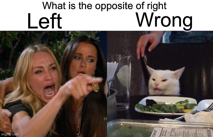 Laughing crying emoji | What is the opposite of right; Left; Wrong | image tagged in memes,woman yelling at cat | made w/ Imgflip meme maker