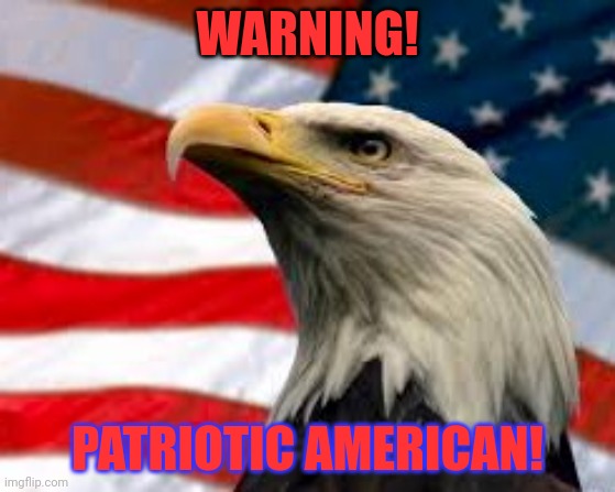 Murica Patriotic Eagle | WARNING! PATRIOTIC AMERICAN! | image tagged in murica patriotic eagle | made w/ Imgflip meme maker
