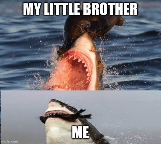 Travelonshark | MY LITTLE BROTHER; ME | image tagged in memes,travelonshark | made w/ Imgflip meme maker