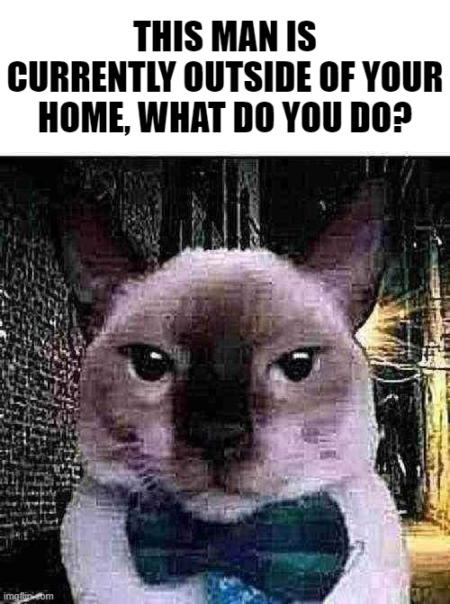 <-- Look at this guy | THIS MAN IS CURRENTLY OUTSIDE OF YOUR HOME, WHAT DO YOU DO? | image tagged in funny,memes,funny memes,just a tag,cat,arson | made w/ Imgflip meme maker