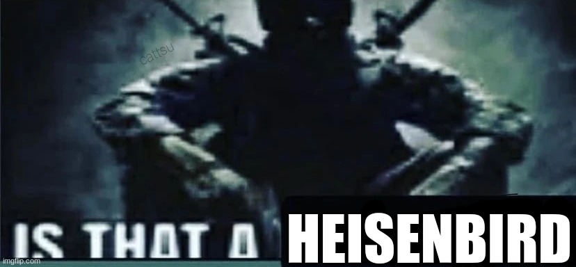 IS THAT A | HEISENBIRD | image tagged in is that a | made w/ Imgflip meme maker