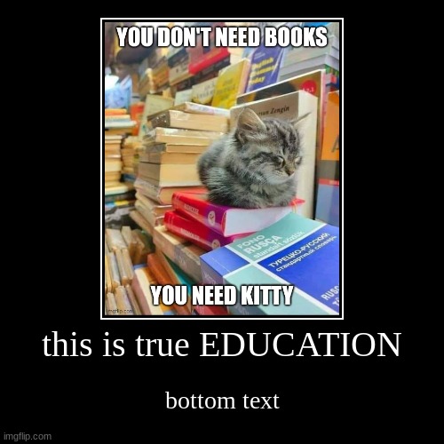 smort | this is true EDUCATION | bottom text | image tagged in funny,demotivationals,cats,kitty,books | made w/ Imgflip demotivational maker