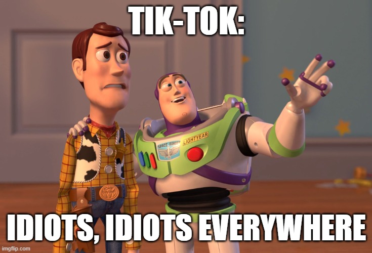 ♪I can see 10000 reasons why♪ | TIK-TOK:; IDIOTS, IDIOTS EVERYWHERE | image tagged in memes,x x everywhere,tiktok,idiots | made w/ Imgflip meme maker