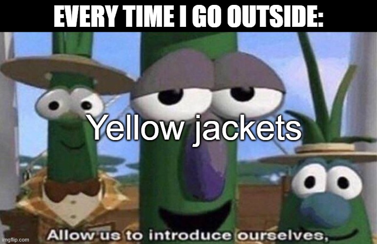 I literally can't go outside without seeing them | EVERY TIME I GO OUTSIDE:; Yellow jackets | image tagged in veggietales 'allow us to introduce ourselfs',yellow jackets,bees,wasps | made w/ Imgflip meme maker