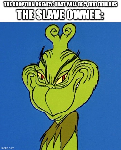 hmmmm | THE SLAVE OWNER:; THE ADOPTION AGENCY: THAT WILL BE 5,000 DOLLARS | image tagged in grinch smile,hmmm,dark humor,slavery,money,poop | made w/ Imgflip meme maker