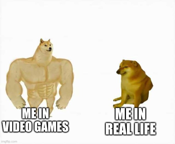 Strong dog vs weak dog | ME IN VIDEO GAMES; ME IN REAL LIFE | image tagged in strong dog vs weak dog | made w/ Imgflip meme maker