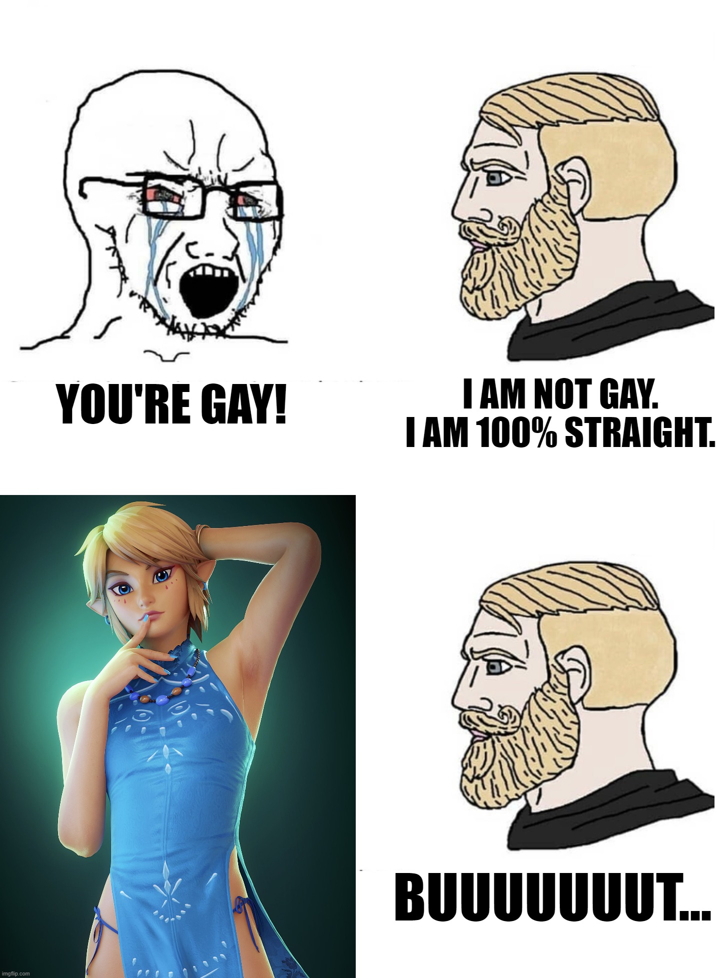 Well, Maybe just 1%. xD | YOU'RE GAY! I AM NOT GAY.
I AM 100% STRAIGHT. BUUUUUUUT... | image tagged in the legend of zelda,link | made w/ Imgflip meme maker