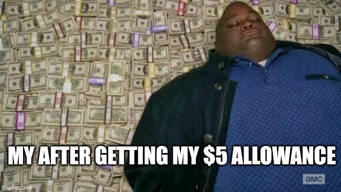 huell money | MY AFTER GETTING MY $5 ALLOWANCE | image tagged in huell money | made w/ Imgflip meme maker