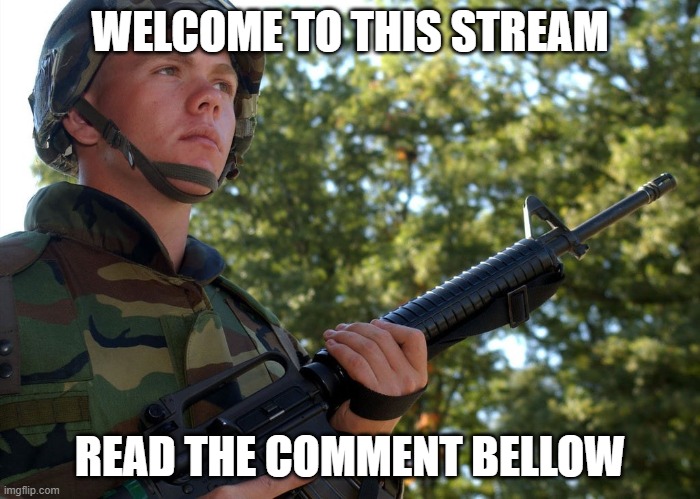 THIS IS MY NEW STREAM. | WELCOME TO THIS STREAM; READ THE COMMENT BELLOW | image tagged in eroican soldier welding an colt m16a2 a3 | made w/ Imgflip meme maker