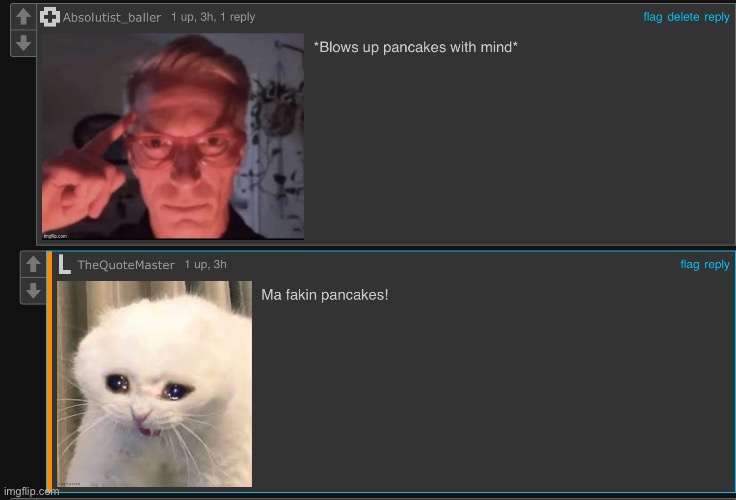 made w/ Imgflip meme maker