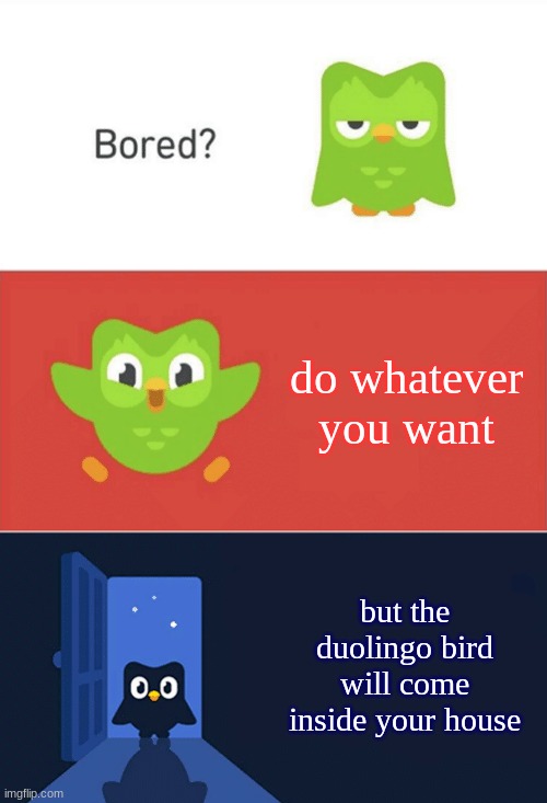Duolingo Bored 3-Panel | do whatever you want; but the duolingo bird will come inside your house | image tagged in duolingo bored 3-panel,duolingo | made w/ Imgflip meme maker