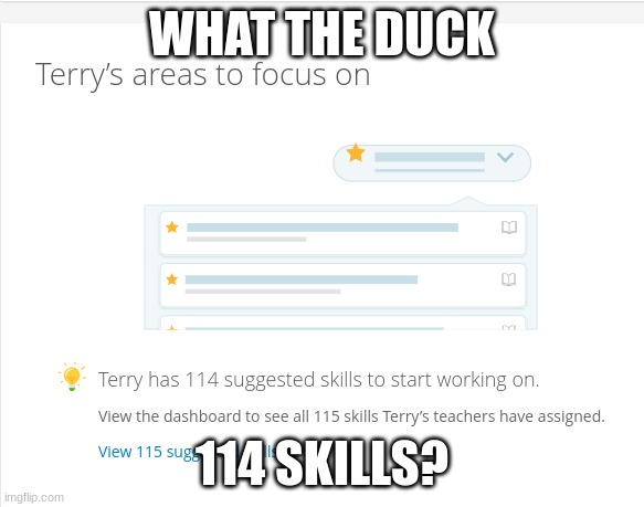 BRUHH | WHAT THE DUCK; 114 SKILLS? | image tagged in imgflip,school,ixl | made w/ Imgflip meme maker