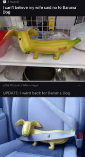 Banana Dog Blank Meme Template