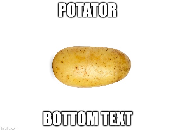potator | POTATOR; BOTTOM TEXT | image tagged in potato | made w/ Imgflip meme maker