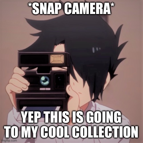 Caught in 4k | *SNAP CAMERA* YEP THIS IS GOING TO MY COOL COLLECTION | image tagged in caught in 4k | made w/ Imgflip meme maker