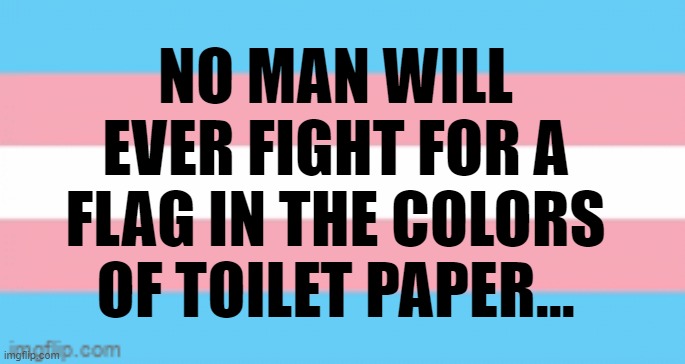 Trans | NO MAN WILL EVER FIGHT FOR A FLAG IN THE COLORS OF TOILET PAPER... | image tagged in transgender | made w/ Imgflip meme maker