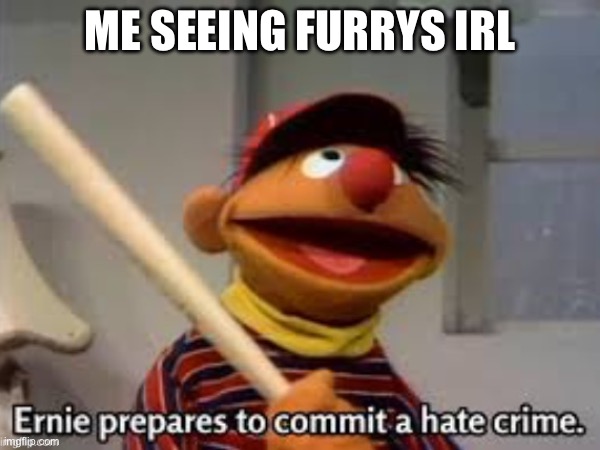 Ernie hates furries | ME SEEING FURRYS IRL | made w/ Imgflip meme maker