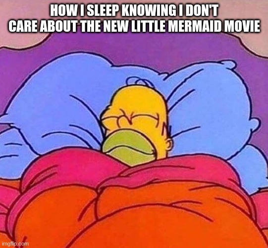 Homer Simpson sleeping peacefully | HOW I SLEEP KNOWING I DON'T CARE ABOUT THE NEW LITTLE MERMAID MOVIE | image tagged in homer simpson sleeping peacefully | made w/ Imgflip meme maker