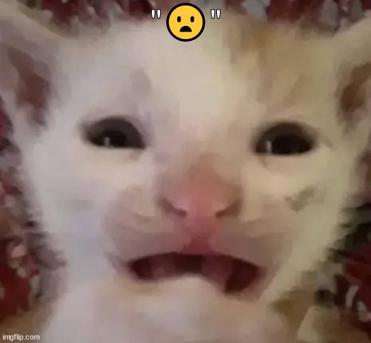 "😦" | made w/ Imgflip meme maker