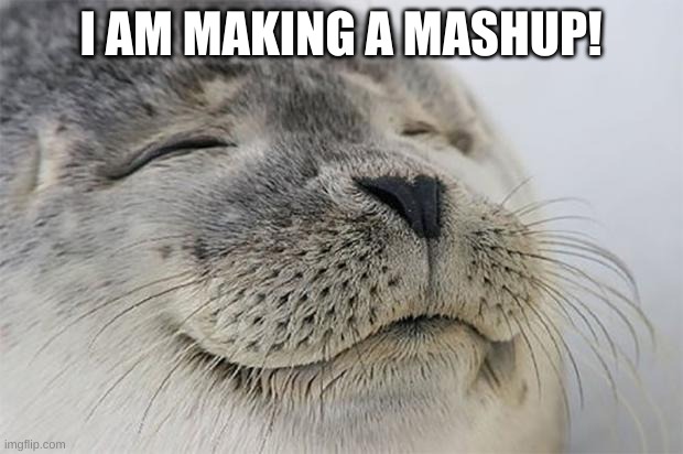 On Soundtrap | I AM MAKING A MASHUP! | image tagged in memes,satisfied seal | made w/ Imgflip meme maker