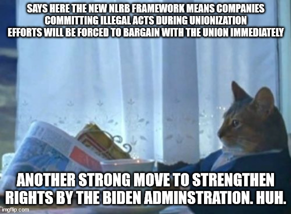 I Should Buy A Boat Cat | SAYS HERE THE NEW NLRB FRAMEWORK MEANS COMPANIES COMMITTING ILLEGAL ACTS DURING UNIONIZATION EFFORTS WILL BE FORCED TO BARGAIN WITH THE UNION IMMEDIATELY; ANOTHER STRONG MOVE TO STRENGTHEN RIGHTS BY THE BIDEN ADMINSTRATION. HUH. | image tagged in memes,i should buy a boat cat | made w/ Imgflip meme maker
