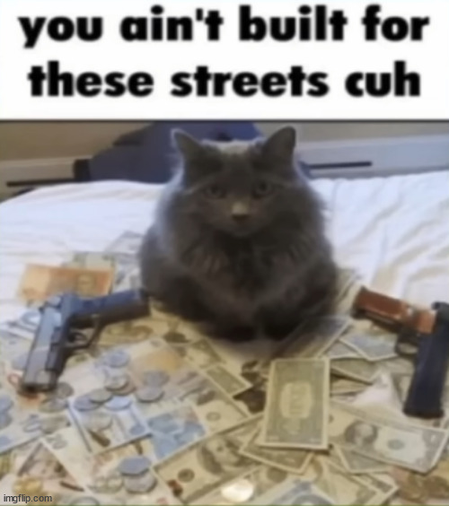 got comment banned for harassing tck | made w/ Imgflip meme maker