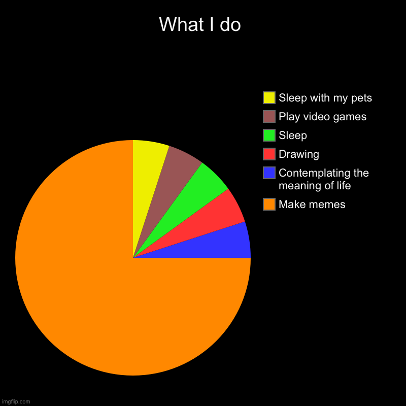 My life | What I do | Make memes, Contemplating the meaning of life , Drawing , Sleep, Play video games , Sleep with my pets | image tagged in charts,pie charts | made w/ Imgflip chart maker