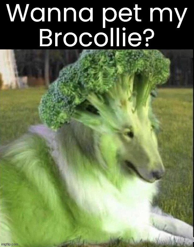 Wanna pet my
Brocollie? | image tagged in cursed image | made w/ Imgflip meme maker