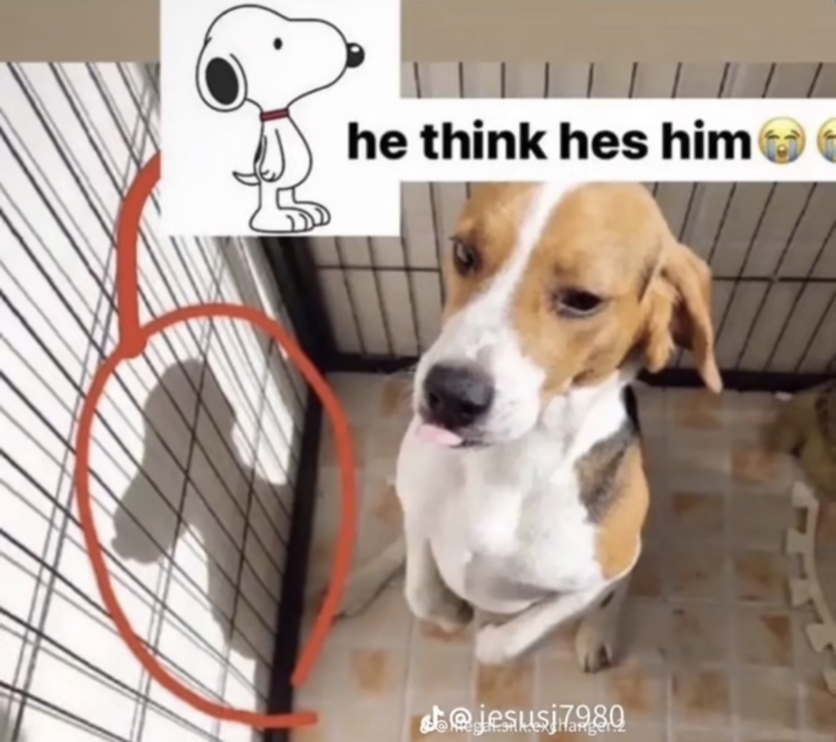 april first Blank Meme Template