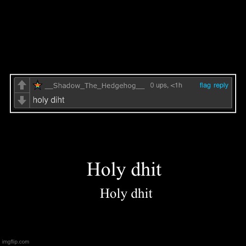 Holy dhit | Holy dhit | image tagged in funny,demotivationals | made w/ Imgflip demotivational maker