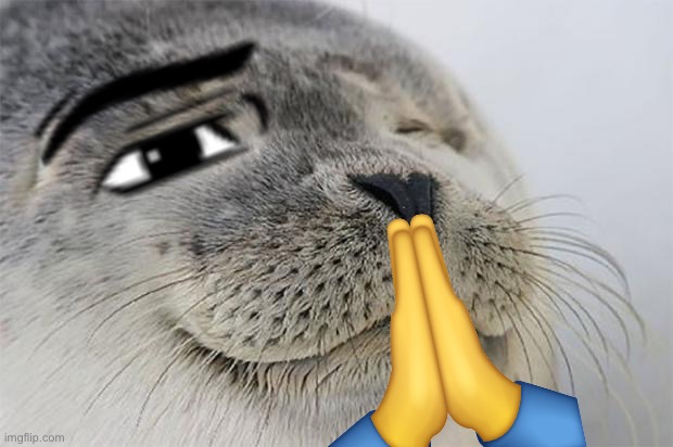 Man seal plots something | image tagged in memes,satisfied seal | made w/ Imgflip meme maker