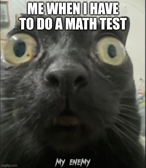 me when i have to do a math test | ME WHEN I HAVE TO DO A MATH TEST | image tagged in funny meme | made w/ Imgflip meme maker