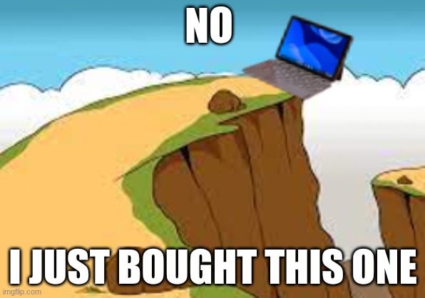 The chromebook dying fr | NO; I JUST BOUGHT THIS ONE | image tagged in the chromebook dying fr | made w/ Imgflip meme maker