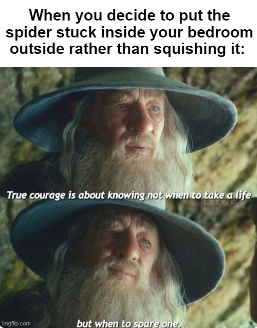 Call me Spiderman | When you decide to put the spider stuck inside your bedroom outside rather than squishing it: | image tagged in memes,lotr,unfunny | made w/ Imgflip meme maker