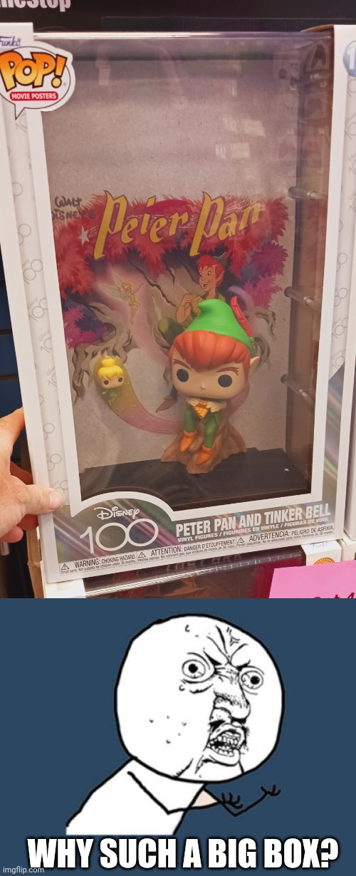 FOUND THIS AT GAMESTOP | WHY SUCH A BIG BOX? | image tagged in memes,y u no,gamestop,funko pops,peter pan | made w/ Imgflip meme maker