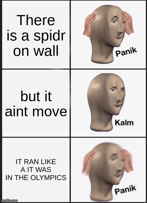 I live in spidr house | There is a spidr on wall; but it aint move; IT RAN LIKE A IT WAS IN THE OLYMPICS | image tagged in memes,panik kalm panik | made w/ Imgflip meme maker
